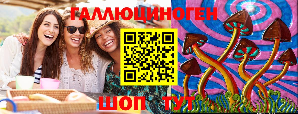 Псилоцибиновые грибы Cubensis  где найти   Орск  Вход с VPN 